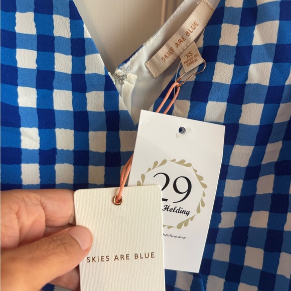 Skies Are Blue Sleeveless gingham Blue and White Blouse - Picture 6 of 9